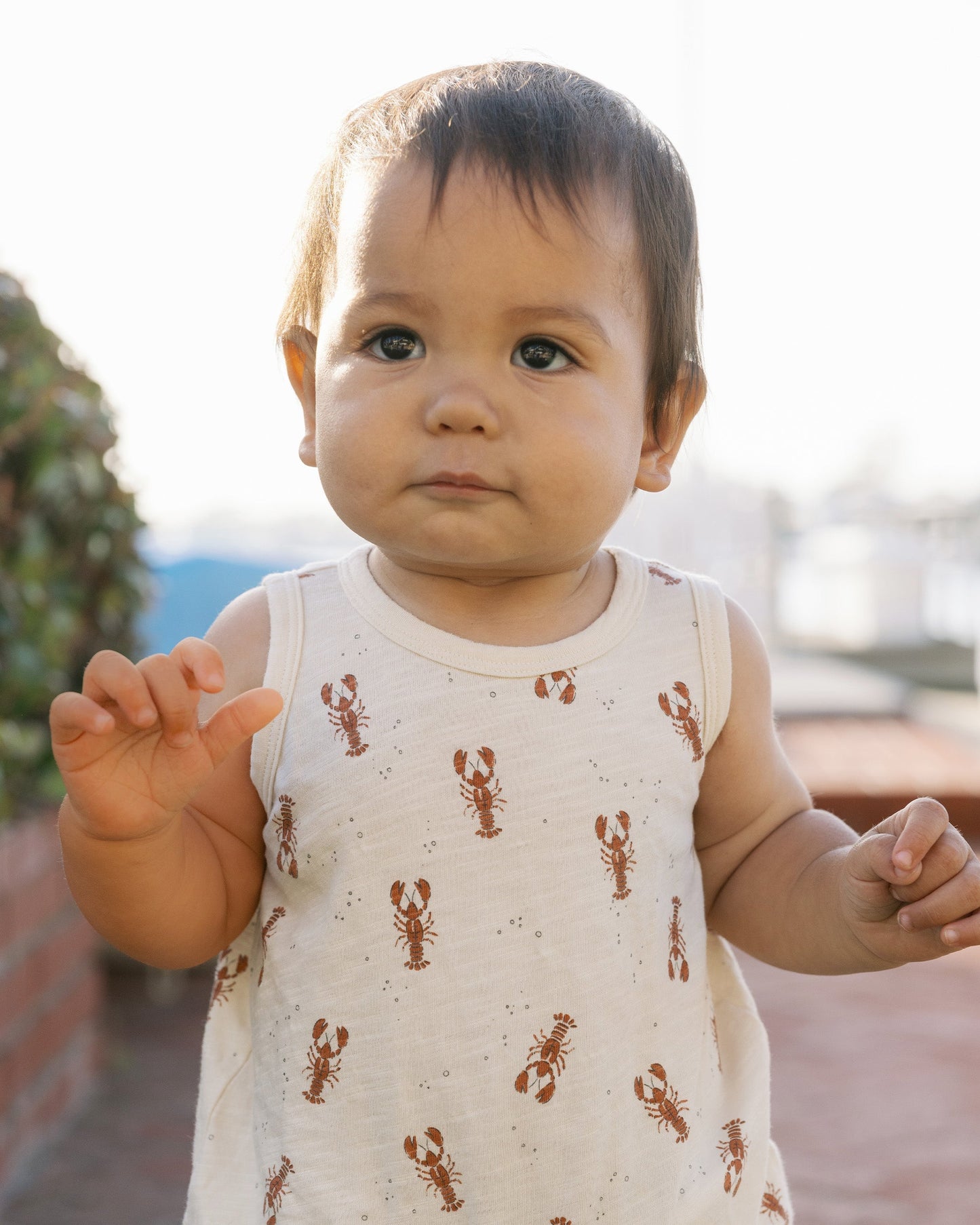 Bubble Onesie Lobsters