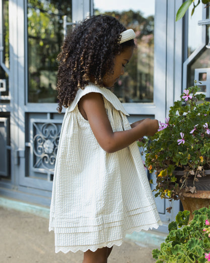 Florence Dress Sky Stripe