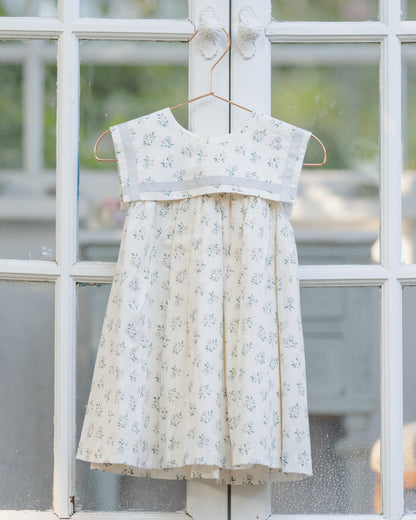 Daisy Dress Summer Ditsy