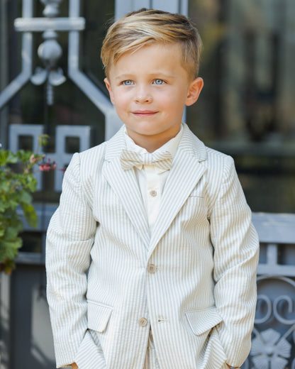 Sebastian Blazer Sky Stripe