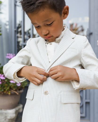 Sebastian Blazer Sky Stripe