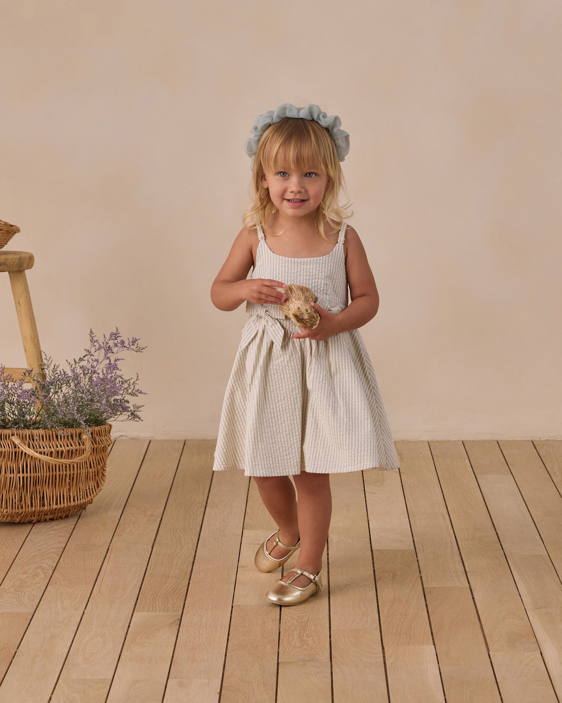 Betsy Dress Sky Stripe