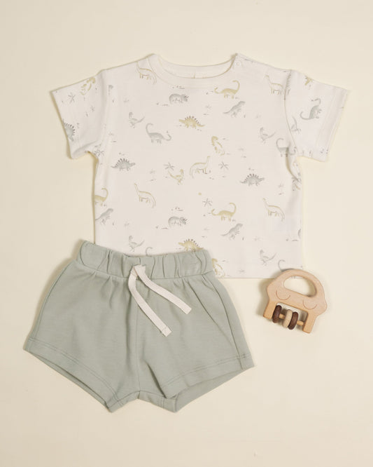 Boxy Tee Dinosaur