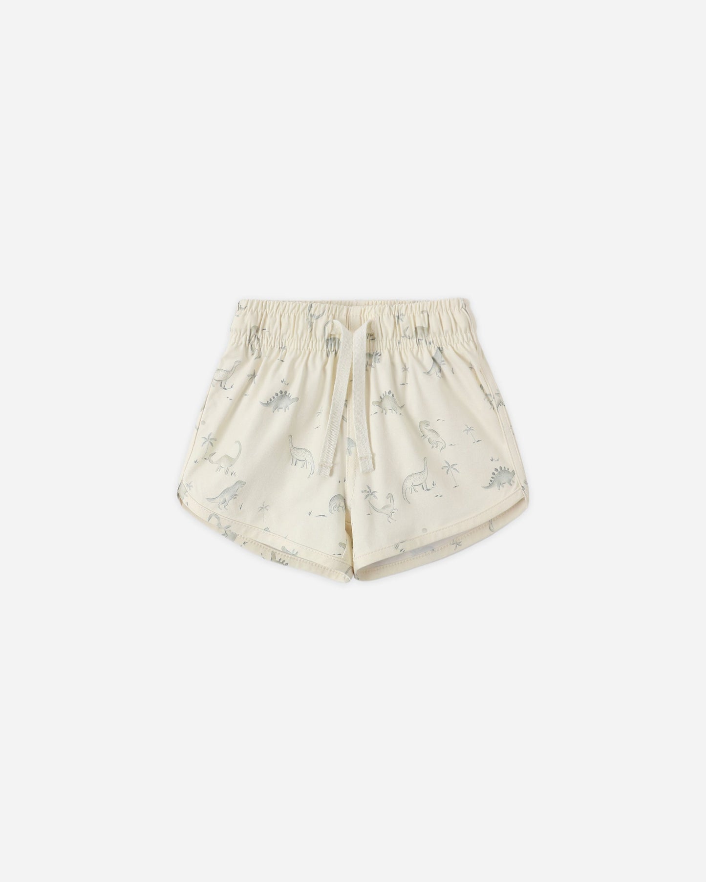 Boys Swim Short Dinosaur