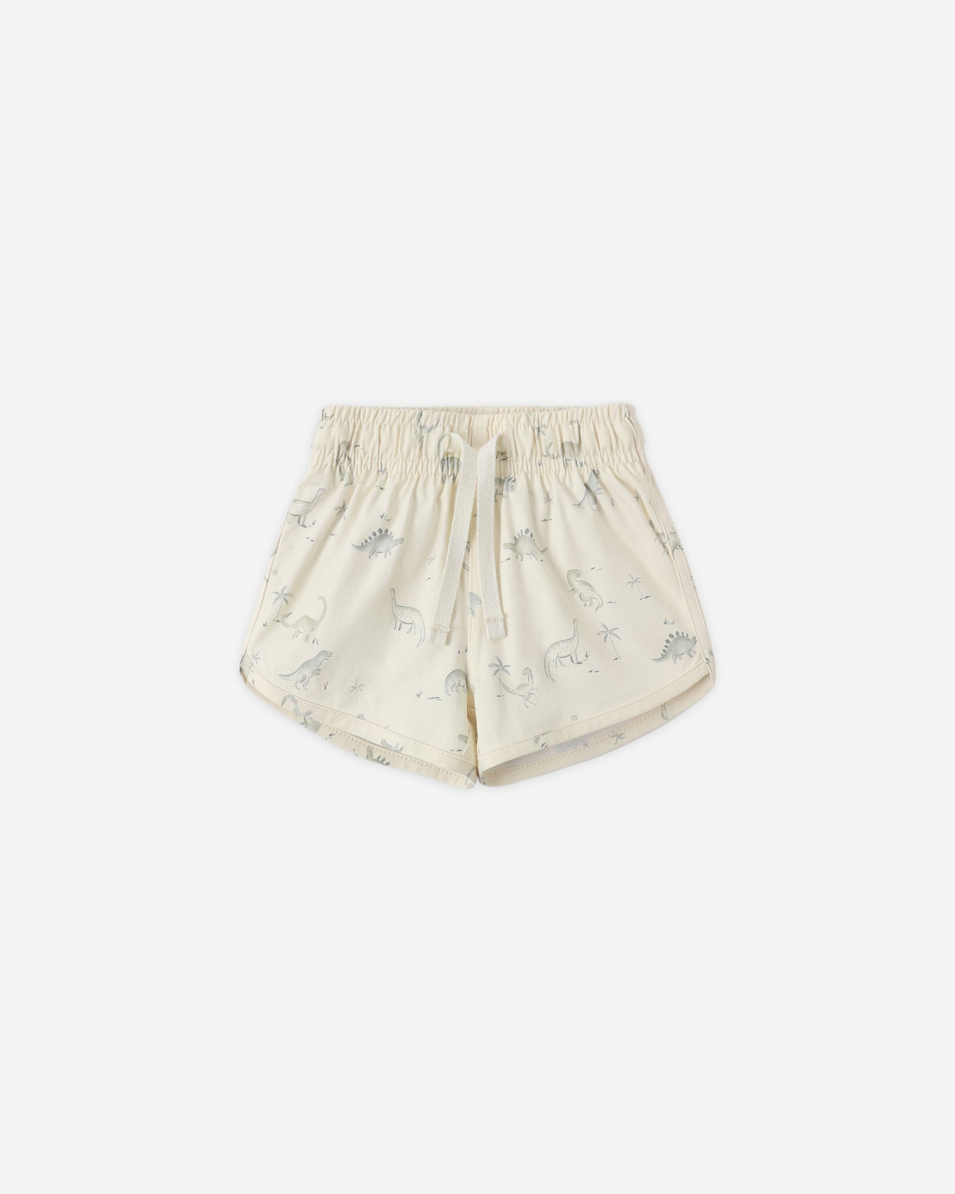 Boys Swim Short Dinosaur