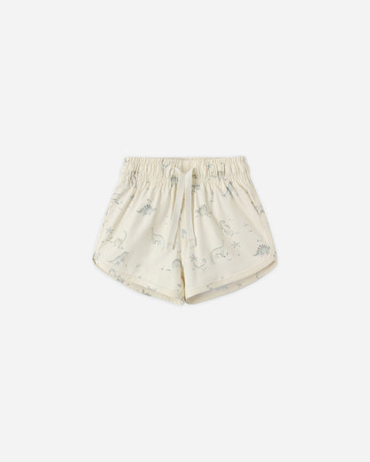 Boys Swim Short Dinosaur