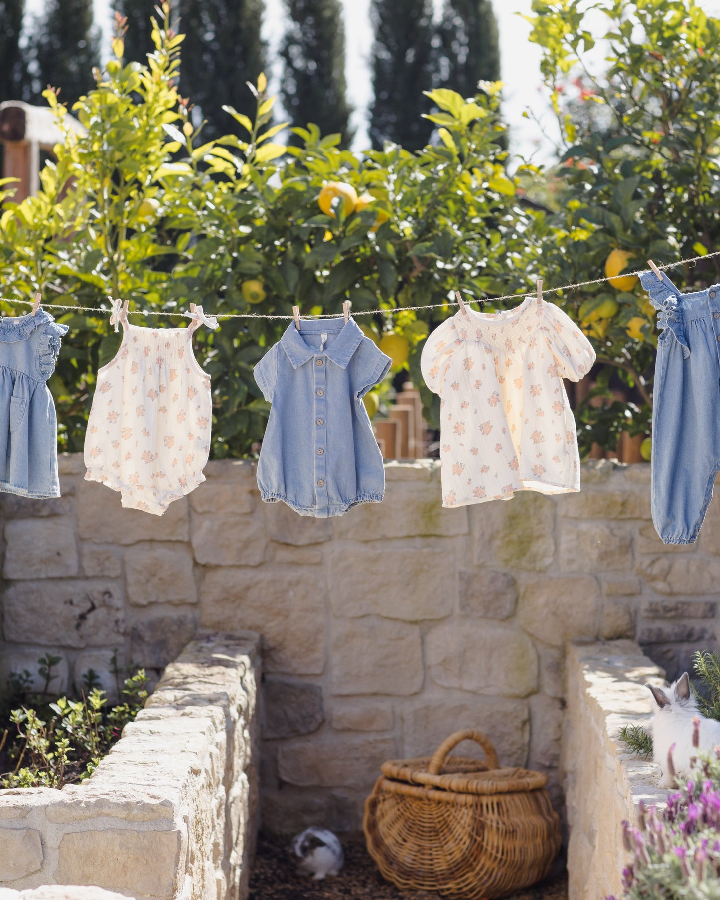 Carina Dress Garden Rose