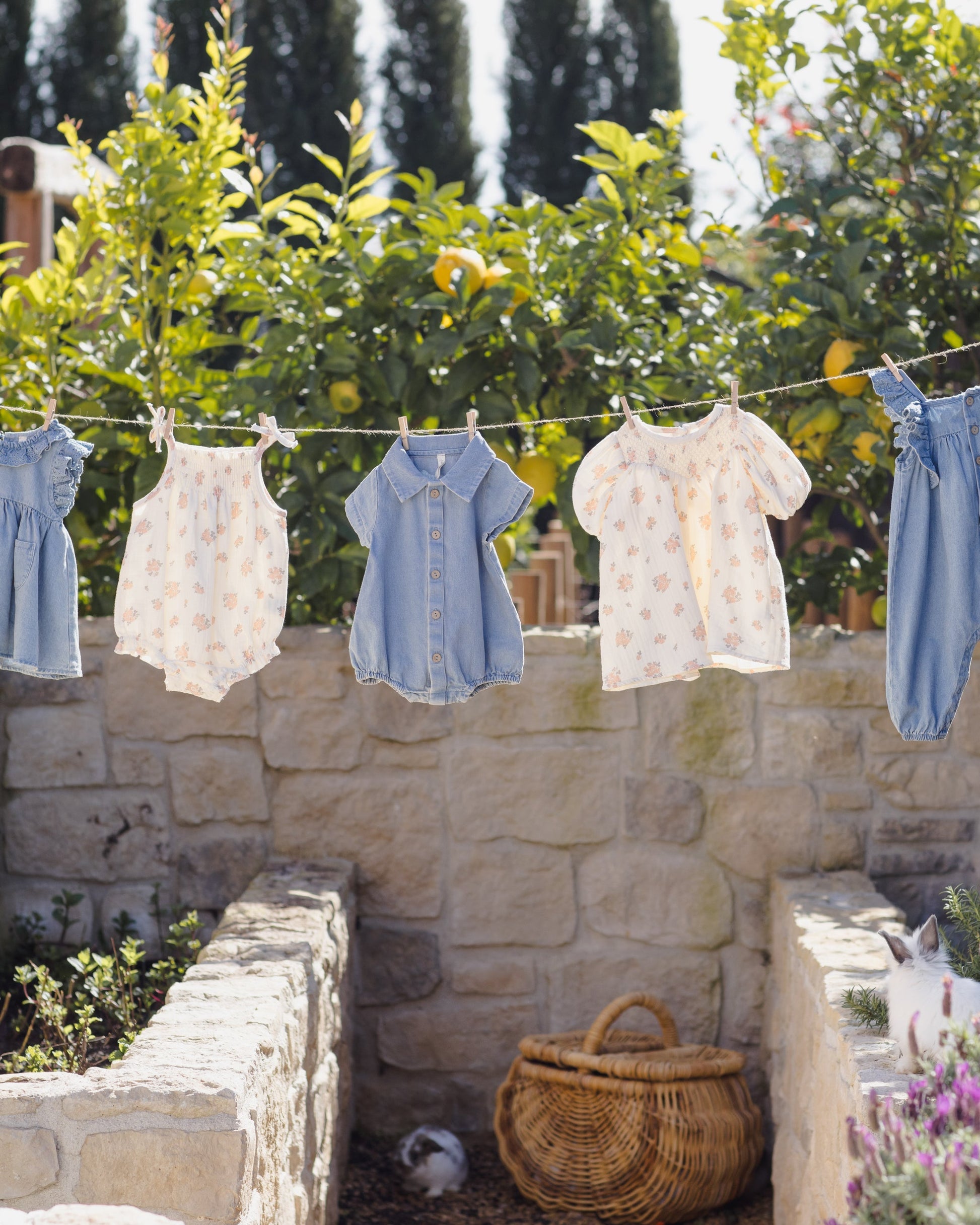 Carina Dress Garden Rose