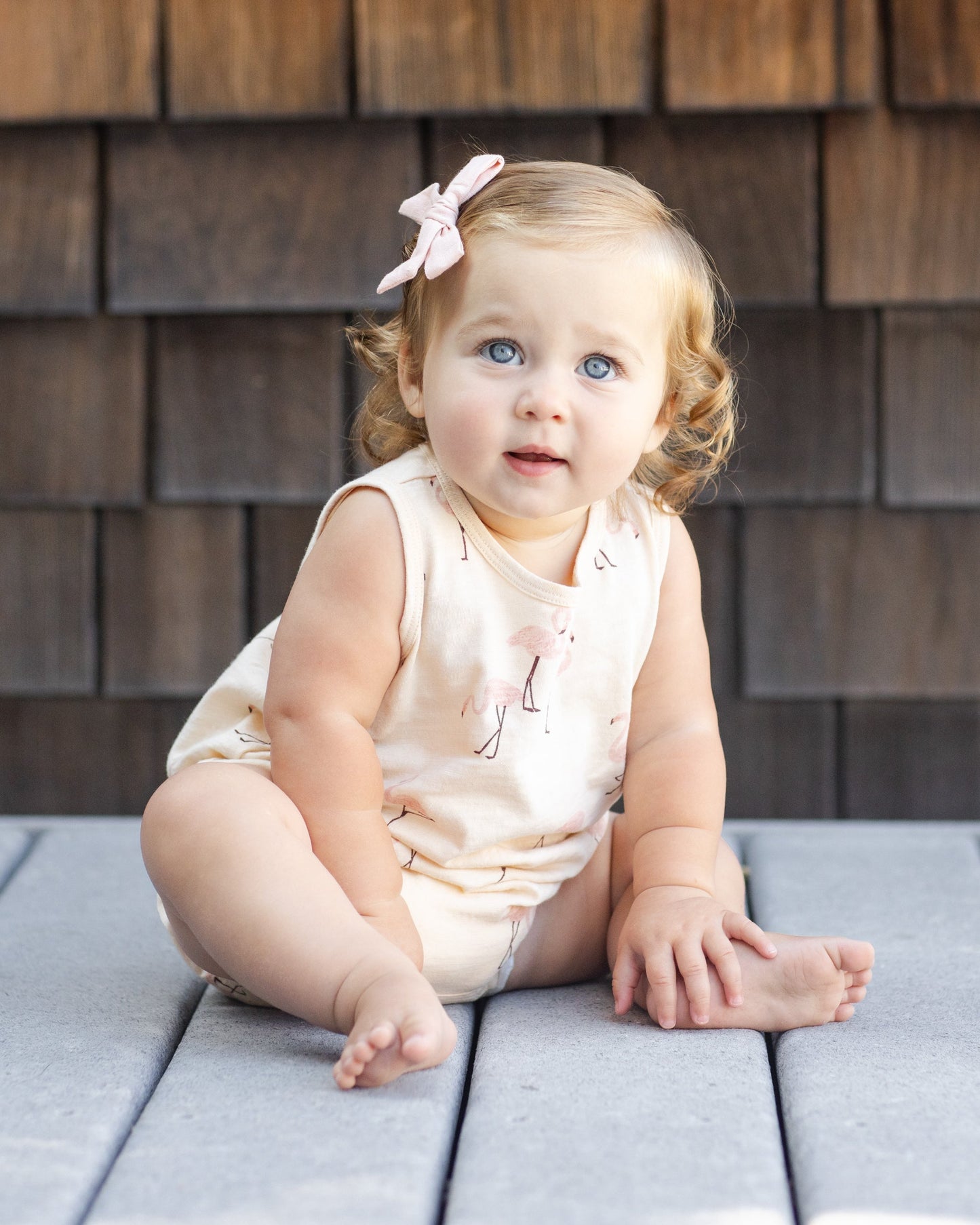 Bows, Set Of 2 Blush